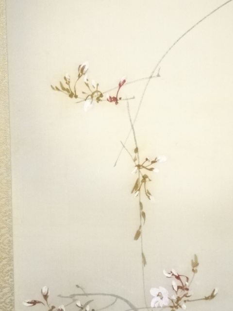 【桜花目白図】今井景樹 2669 サクラにメジロ 共箱 掛け軸 肉筆 桜花目白図】今井景樹 2669 サクラにメジロ 共箱 掛け軸 肉筆